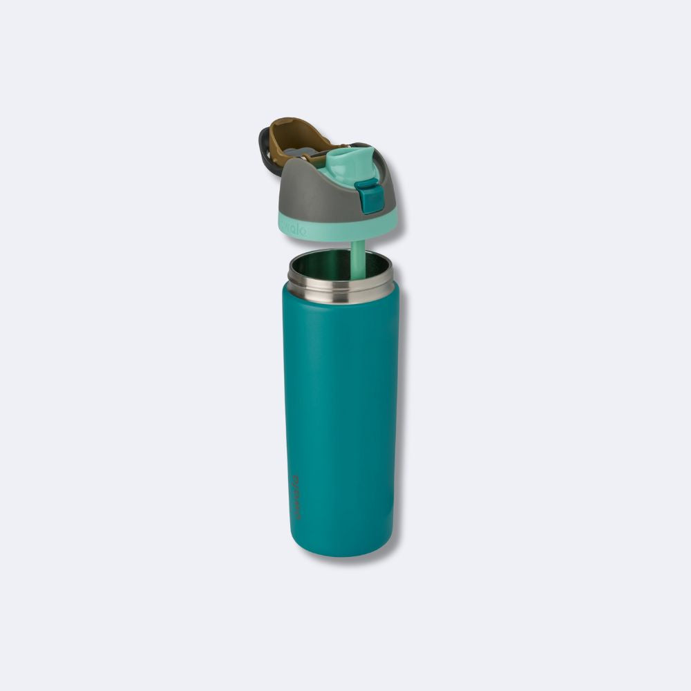 Owala FreeSip 19oz Stainless Steel Water Bottle