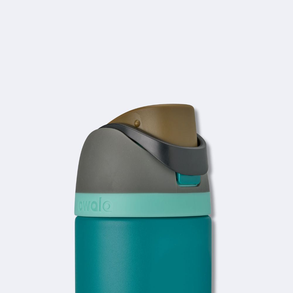 Owala FreeSip 19oz Stainless Steel Water Bottle