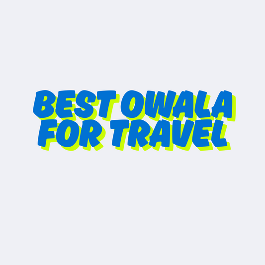 Best owala for travel