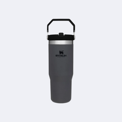 Stanley The IceFlow Flip Straw Polar 30oz Tumbler