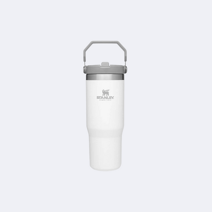 Stanley The IceFlow Flip Straw Polar 30oz Tumbler