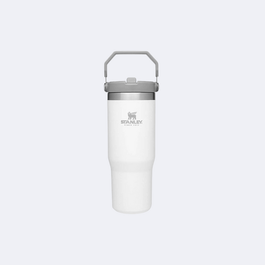Stanley The IceFlow Flip Straw Polar 30oz Tumbler